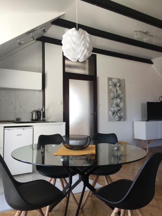 Apartman Studio Sonas 3 With Free Private Parking 卡尔洛瓦茨 外观 照片
