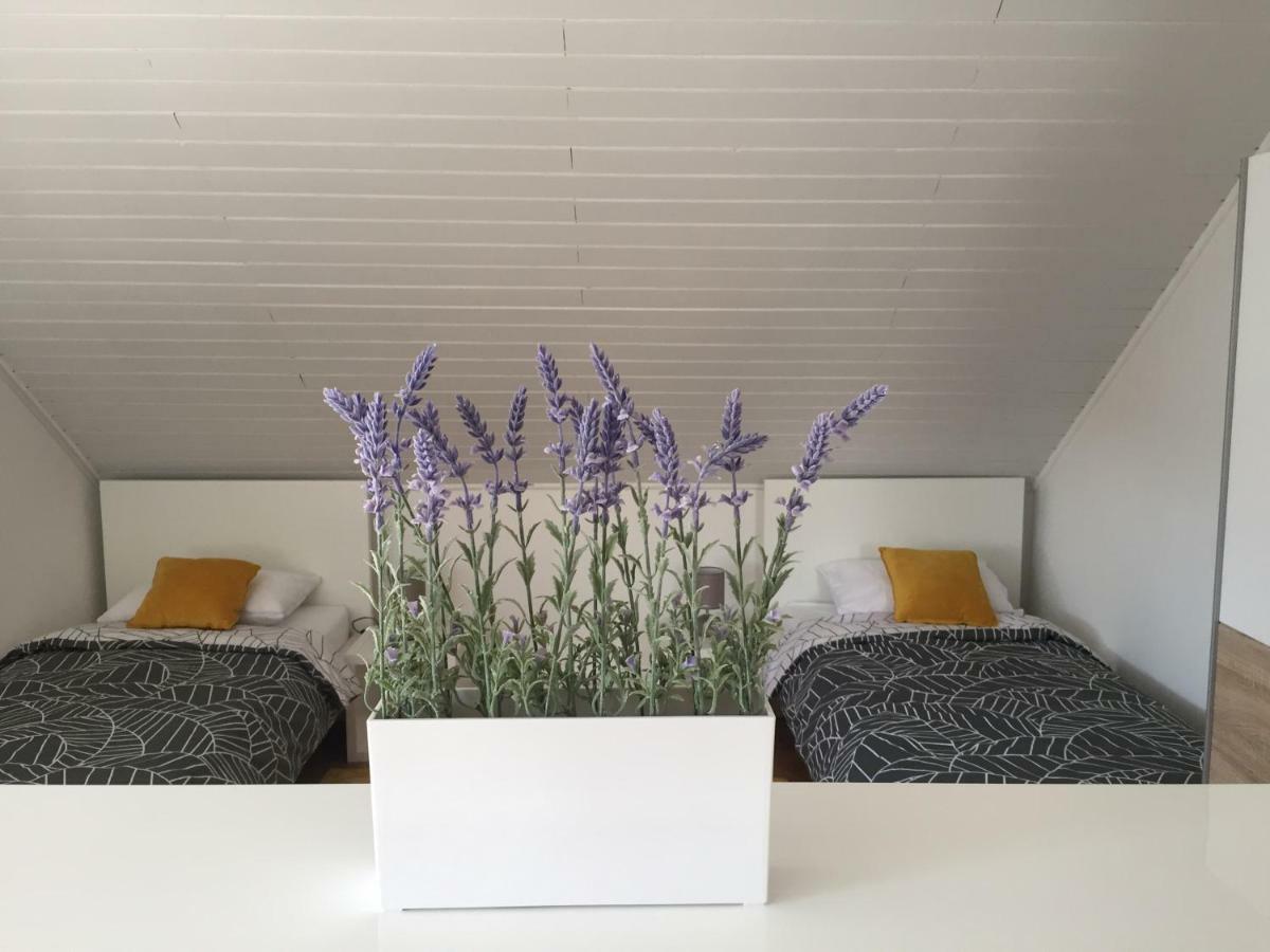 Apartman Studio Sonas 3 With Free Private Parking 卡尔洛瓦茨 外观 照片