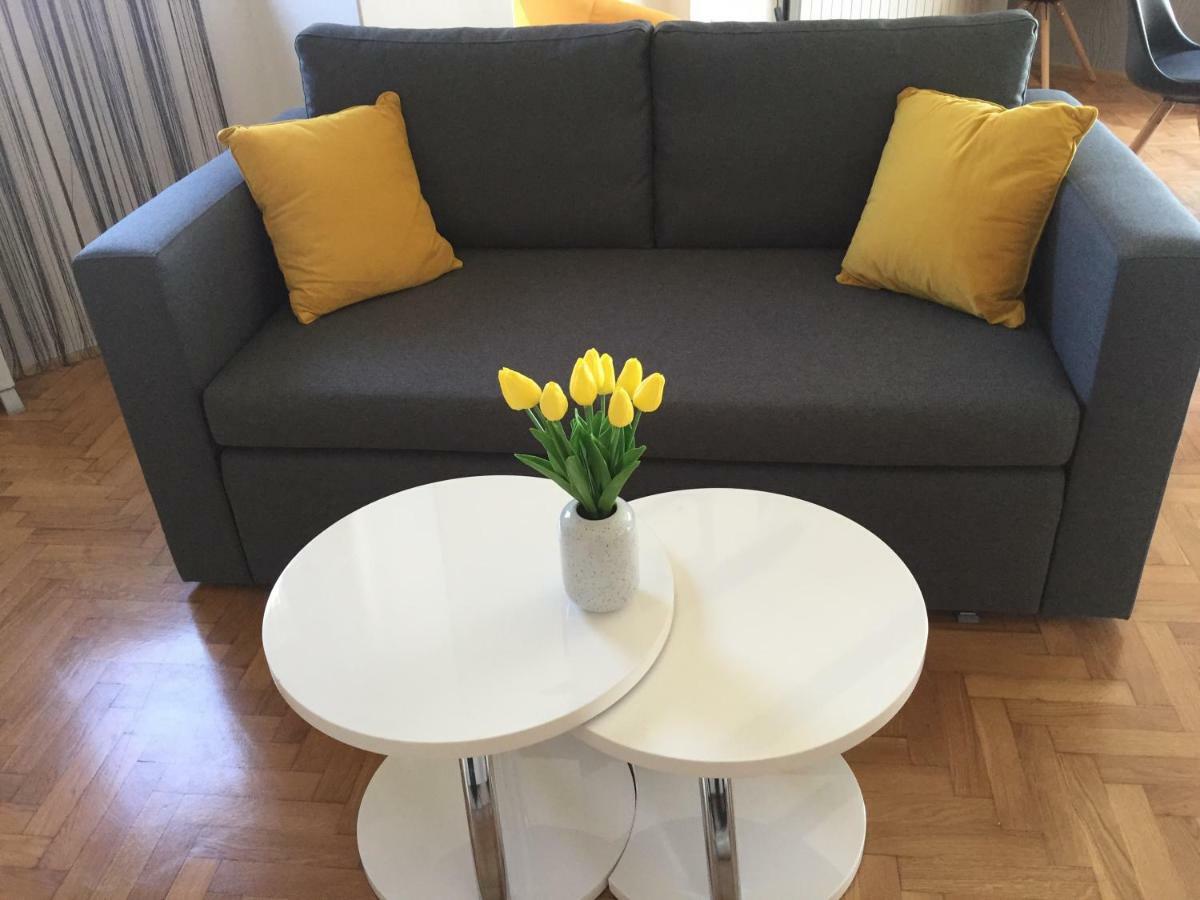 Apartman Studio Sonas 3 With Free Private Parking 卡尔洛瓦茨 外观 照片