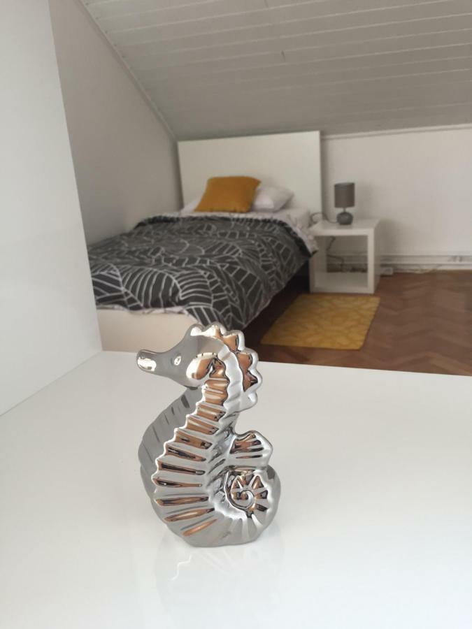Apartman Studio Sonas 3 With Free Private Parking 卡尔洛瓦茨 外观 照片